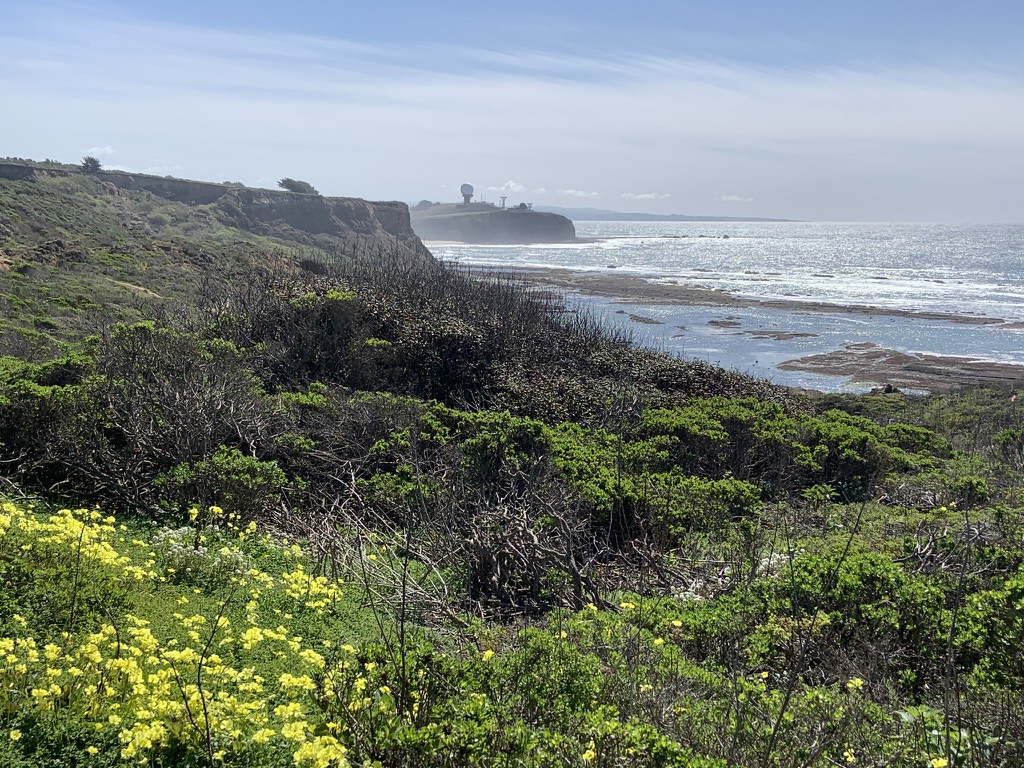 Pillar Point Bluff’s relatively flat trail system makes it a family-friendly pick. (Photo by Kate Bradshaw)