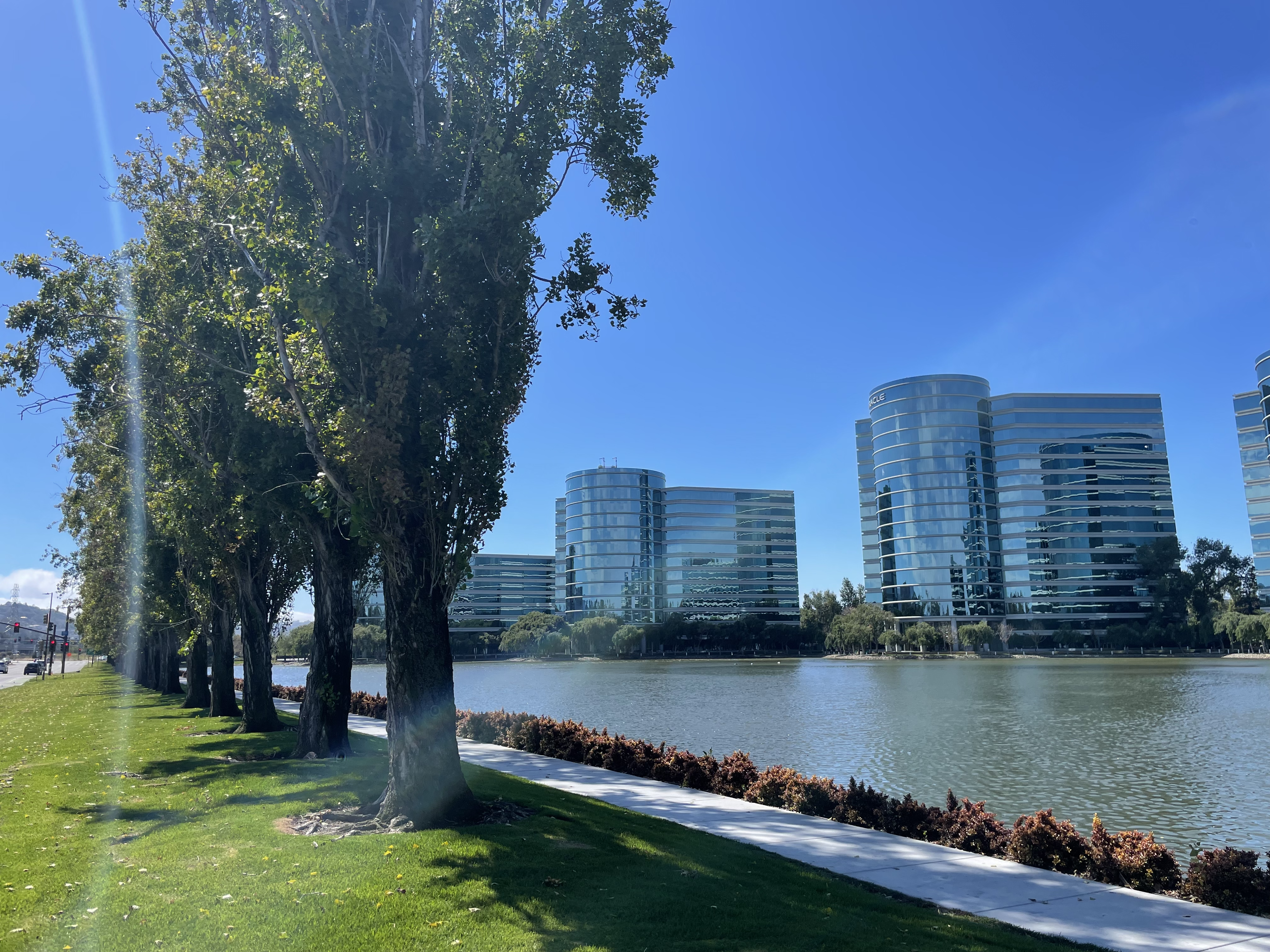 Lawsuit: Ex-employees claim Oracle layoffs cheated them of $1 million in company stock