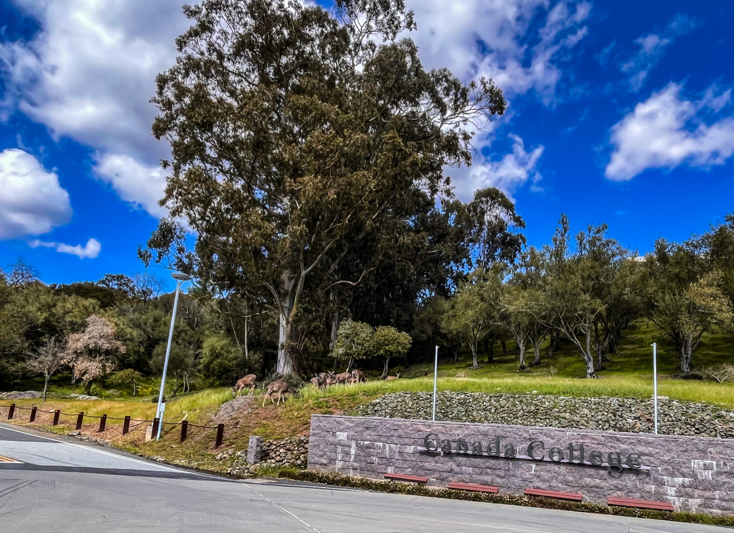 Redwood City showcases local entrepreneurs at new speaker series