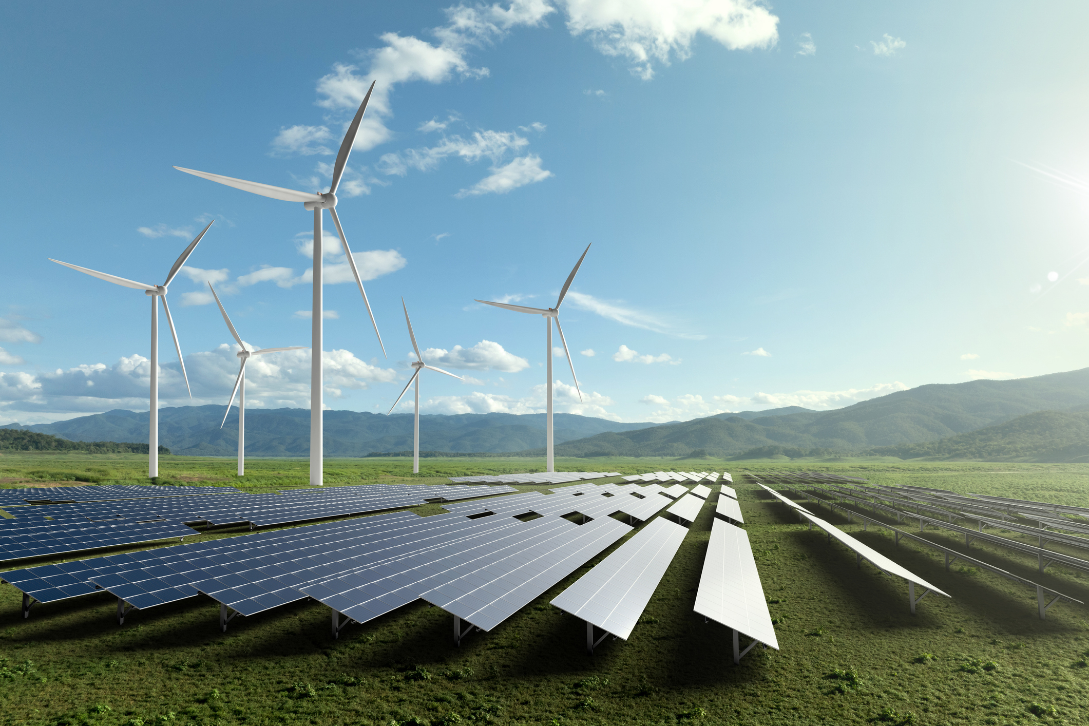 Image for Blog: Our Green Valley is missing Additionality